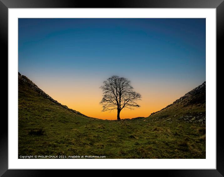 Sycamore gap sunset 372  Framed Mounted Print by PHILIP CHALK