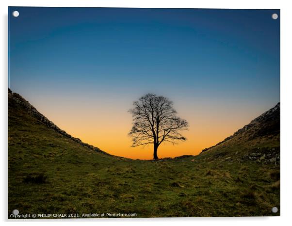 Sycamore gap sunset 372  Acrylic by PHILIP CHALK