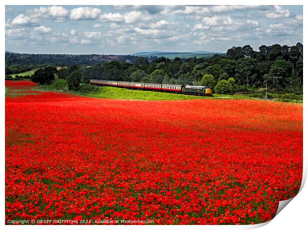 Class 40 40106 poppy fields Bewdley Severn Valley railway Print by GEOFF GRIFFITHS