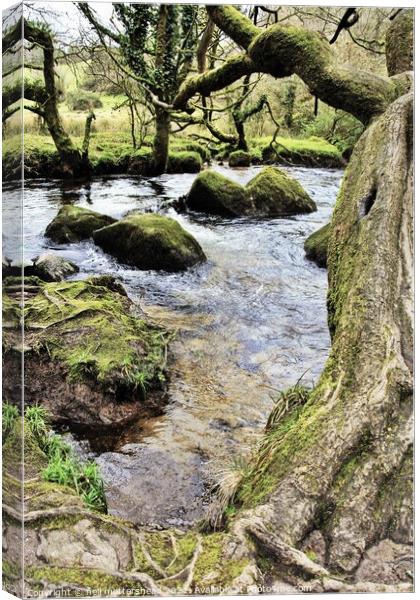The River Fowey At Golitha Falls. Canvas Print by Neil Mottershead