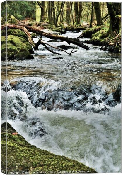 The River Fowey At Drayne's Wood & Golitha Falls. Canvas Print by Neil Mottershead
