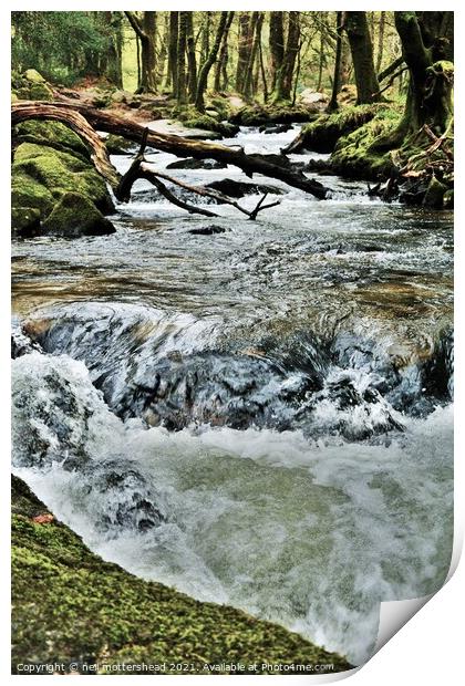 The River Fowey At Drayne's Wood & Golitha Falls. Print by Neil Mottershead