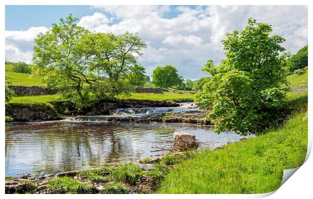 Upper Wharfedale River Wharfe Yorkshire Dales Print by Nick Jenkins