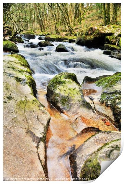 White Water On The River Fowey. Print by Neil Mottershead