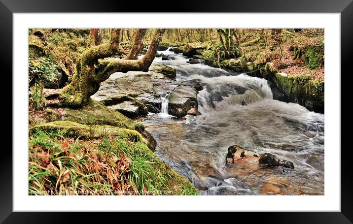 The River Fowey At Golitha Falls. Framed Mounted Print by Neil Mottershead