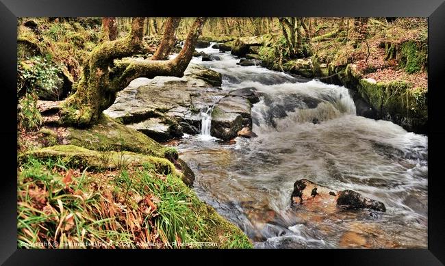 The River Fowey At Golitha Falls. Framed Print by Neil Mottershead