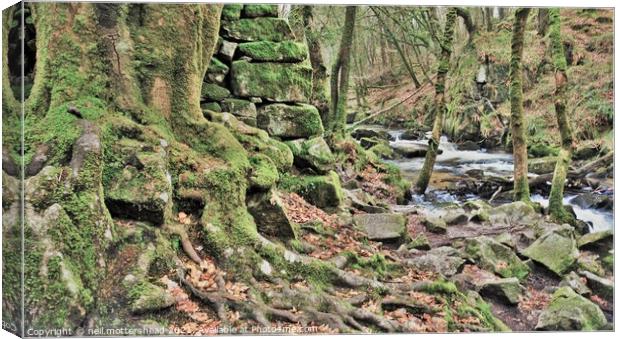 The River Fowey At Drayne's Wood. Canvas Print by Neil Mottershead