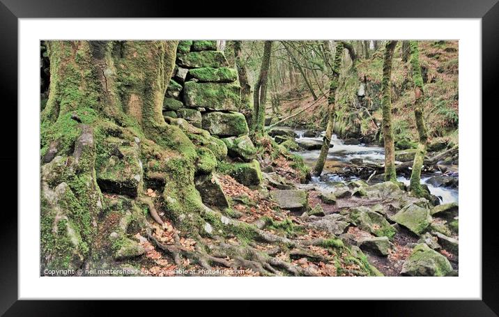 The River Fowey At Drayne's Wood. Framed Mounted Print by Neil Mottershead