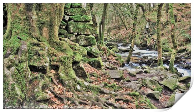 The River Fowey At Drayne's Wood. Print by Neil Mottershead