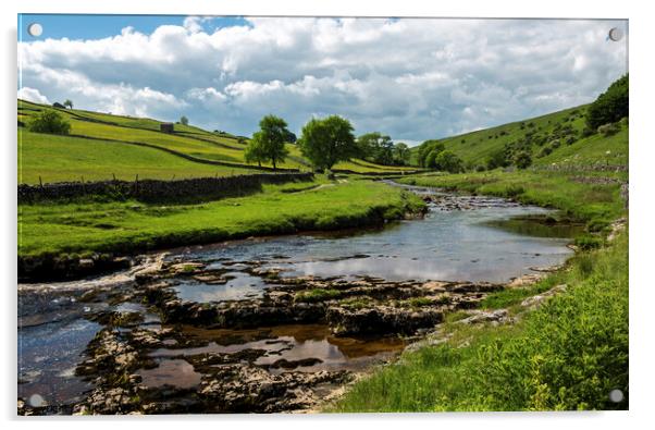 Upper Wharfedale and the River Wharfe Yorkshire  Acrylic by Nick Jenkins