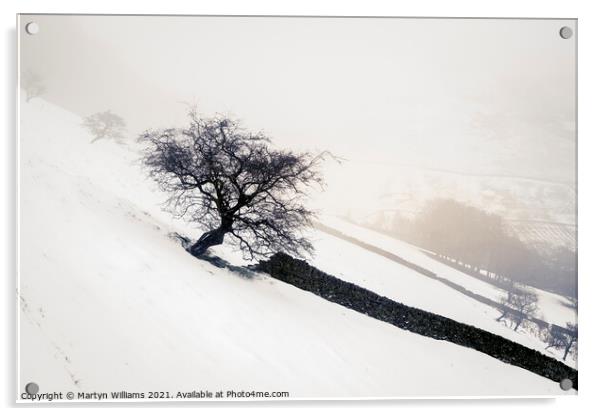 Winter Landscape, Peak District Acrylic by Martyn Williams