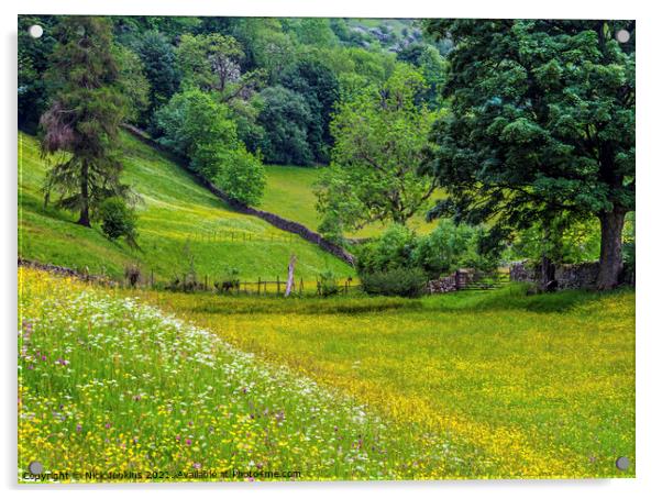 Summer Flower Meadows in June Muker Swaledale  Acrylic by Nick Jenkins