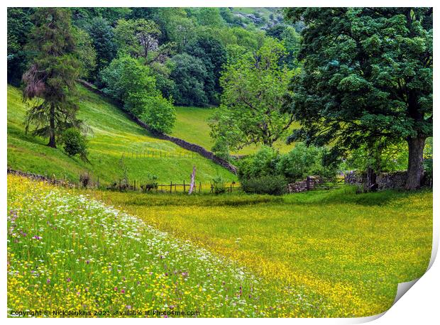 Summer Flower Meadows in June Muker Swaledale  Print by Nick Jenkins