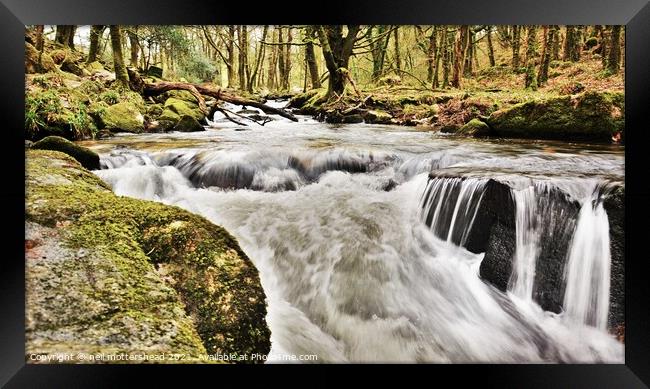 Golitha Falls, Cornwall. Framed Print by Neil Mottershead