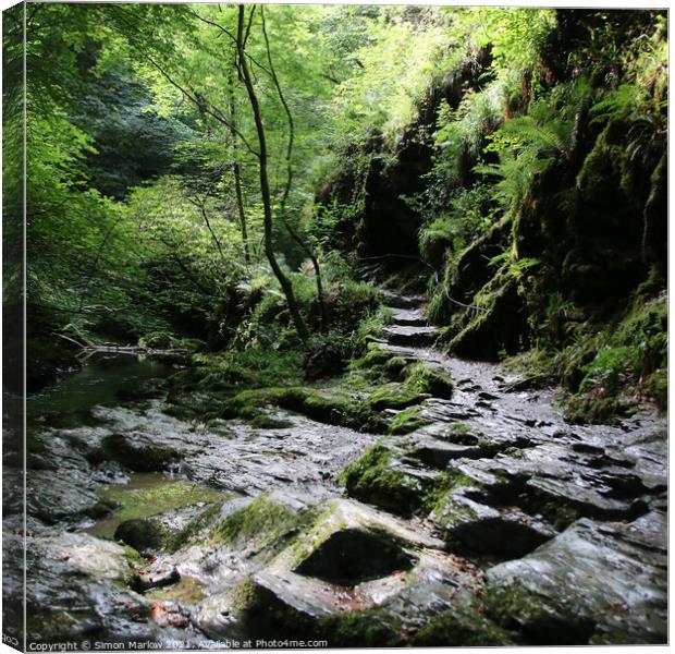 Lydford Gorge Canvas Print by Simon Marlow