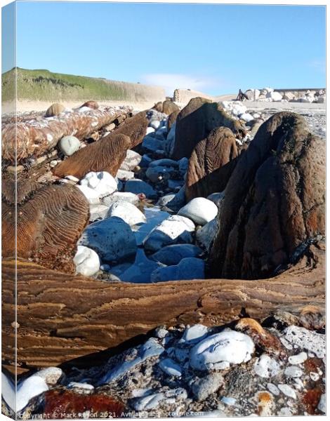 Beachcomber Wooden water duct  Canvas Print by Mark Ritson