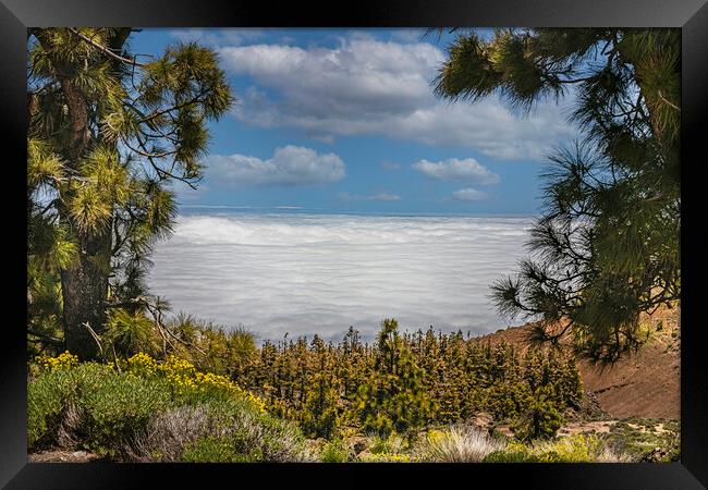 Mount Teide Cloud Inversion Framed Print by Dave Williams