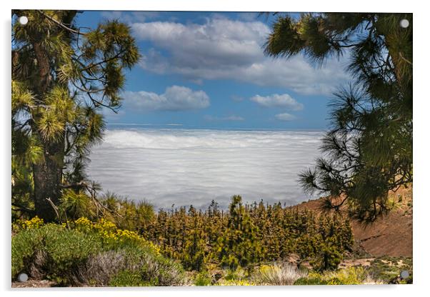 Mount Teide Cloud Inversion Acrylic by Dave Williams