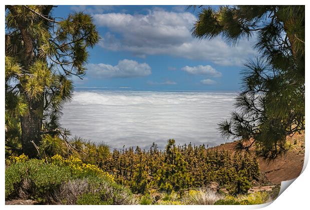 Mount Teide Cloud Inversion Print by Dave Williams