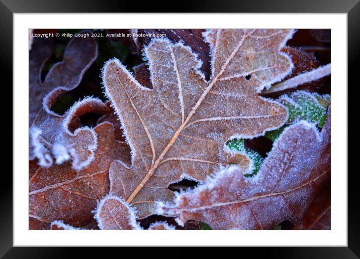 Frosty leaves Framed Mounted Print by Philip Gough