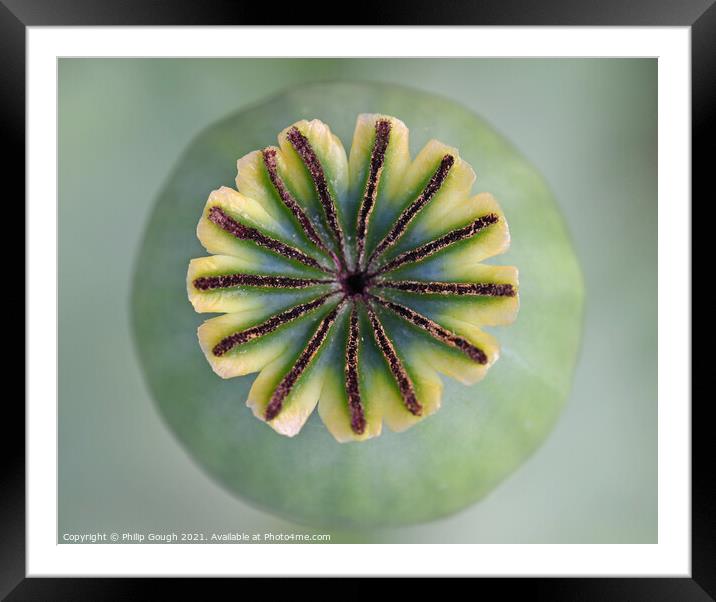 Old Poppy centre in macro Framed Mounted Print by Philip Gough