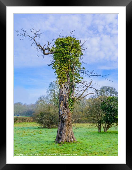 Tree with arms in Spring Framed Mounted Print by Geoff Smith