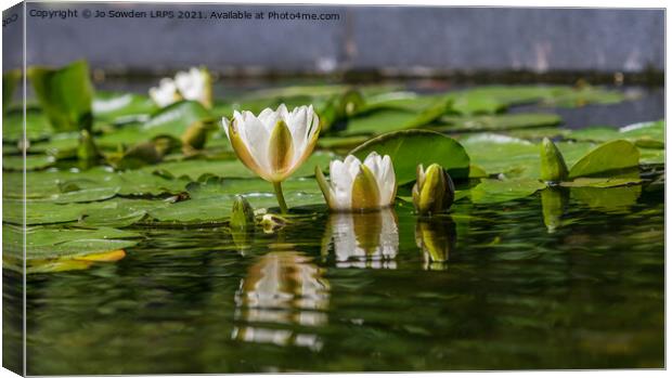 Water lily reflections Canvas Print by Jo Sowden