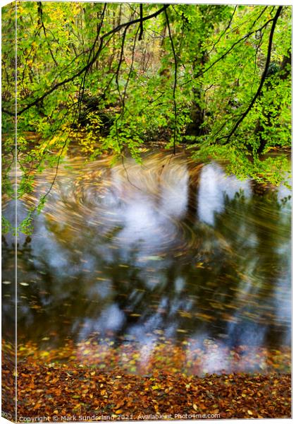 Swirling Leaves in the River Wharfe Strid Wood Wharfedale Canvas Print by Mark Sunderland