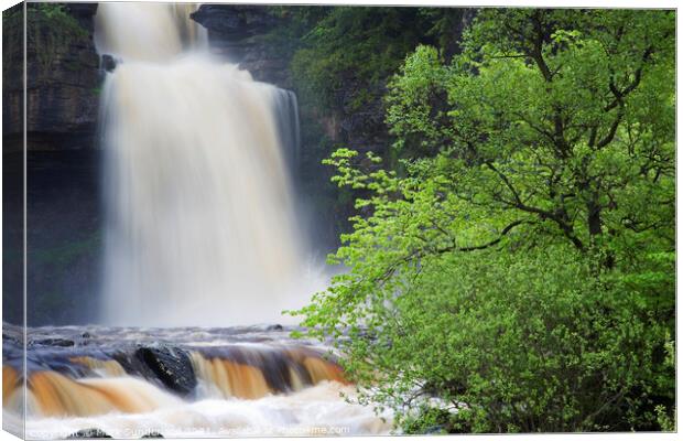 Thornton Force in Full Flow After Heavy Rain Canvas Print by Mark Sunderland