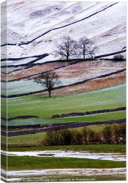 Winter in Wharfedale Canvas Print by Mark Sunderland