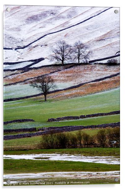 Winter in Wharfedale Acrylic by Mark Sunderland