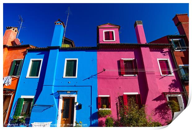 Burano island, famous for its colorful fishermen's houses, in Venice, Italy Print by Chun Ju Wu