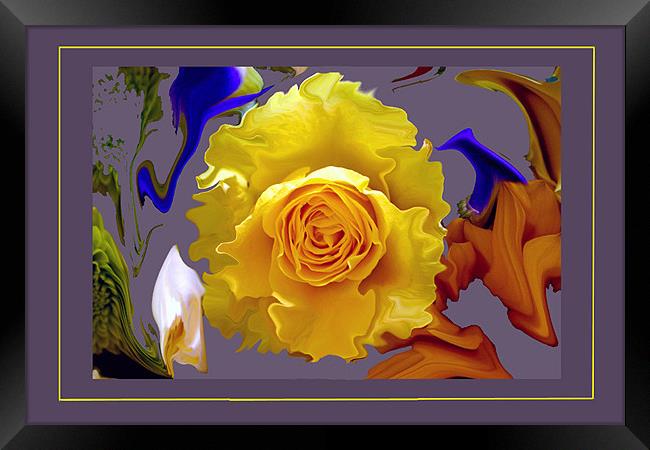 Abstract Rose on a Liquified Colourful B/G Framed Print by Peter Blunn