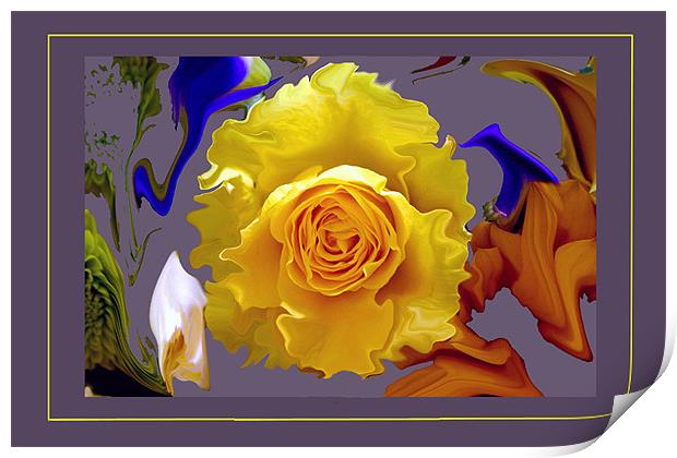 Abstract Rose on a Liquified Colourful B/G Print by Peter Blunn