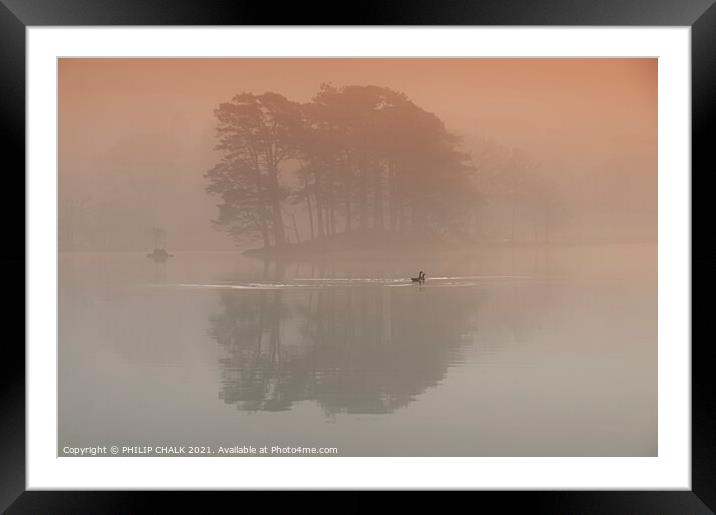 Geese on Coniston water in the mist 373  Framed Mounted Print by PHILIP CHALK