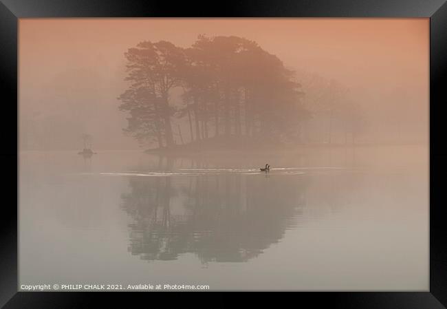 Geese on Coniston water in the mist 373  Framed Print by PHILIP CHALK
