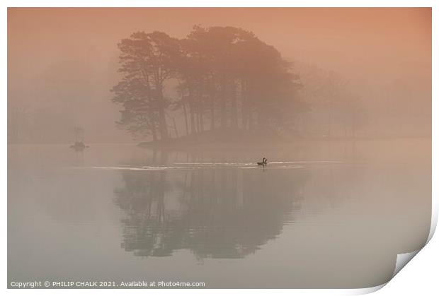 Geese on Coniston water in the mist 373  Print by PHILIP CHALK