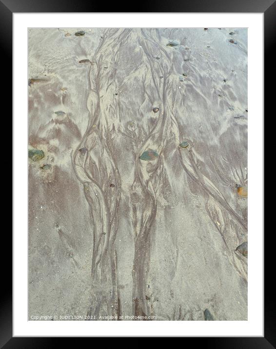 Patterns in the Sand Framed Mounted Print by JUDI LION