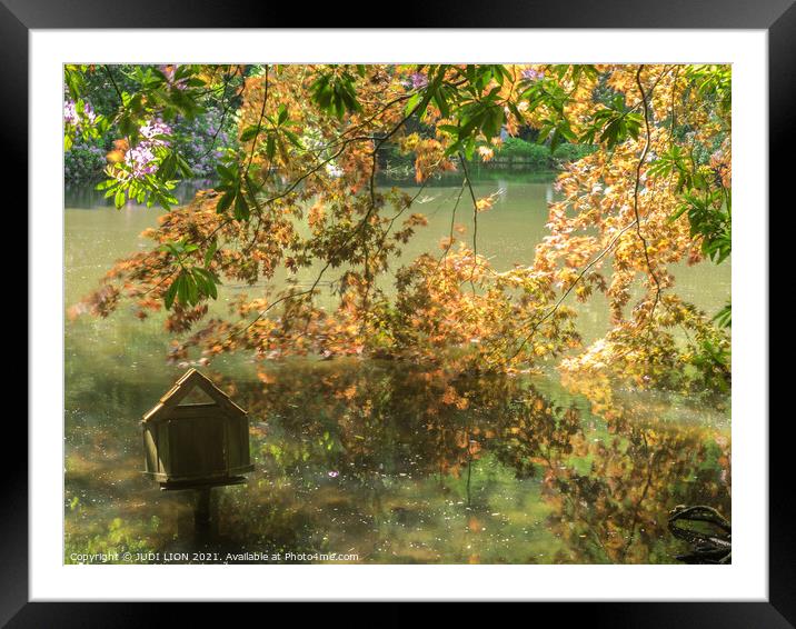 Birdhouse on Lake Framed Mounted Print by JUDI LION