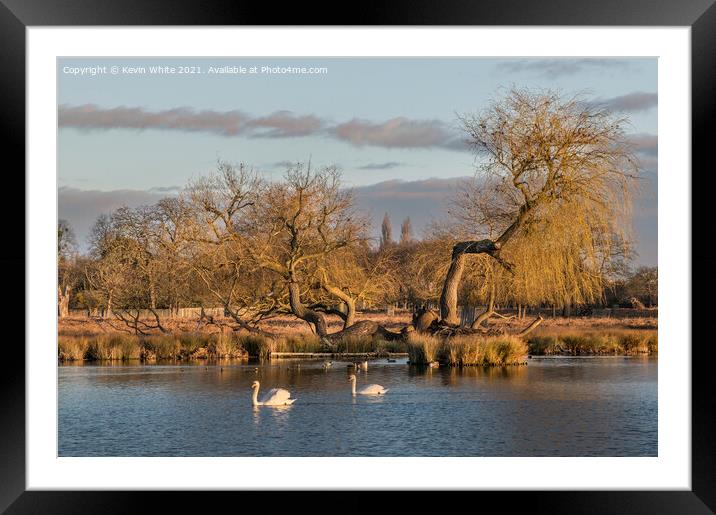 Golden hour Framed Mounted Print by Kevin White