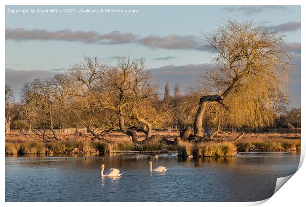 Golden hour Print by Kevin White