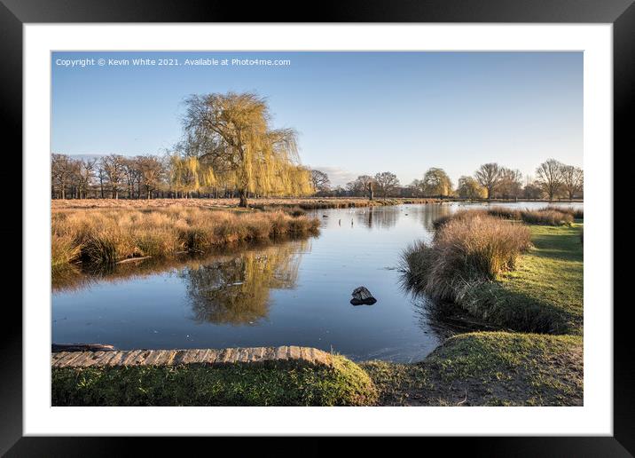 Surrey walks Framed Mounted Print by Kevin White