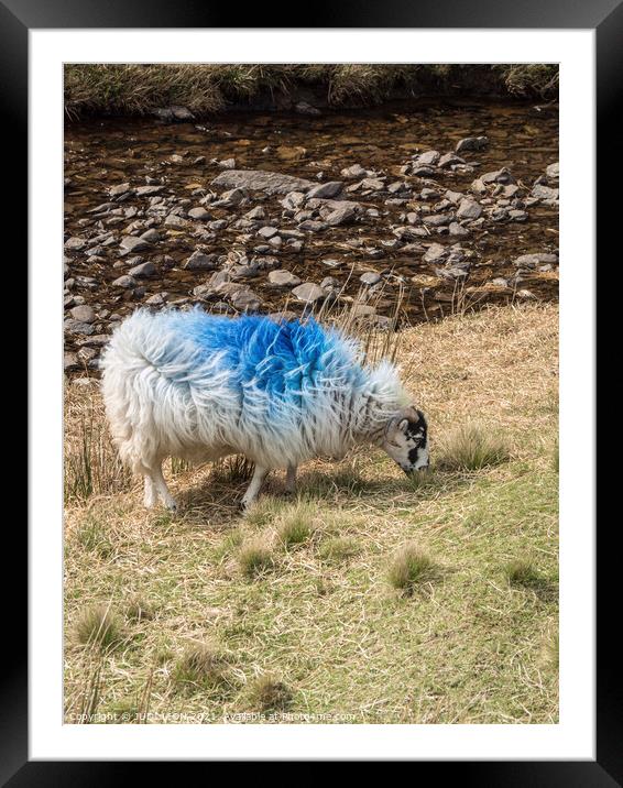 A blue sheep Framed Mounted Print by JUDI LION