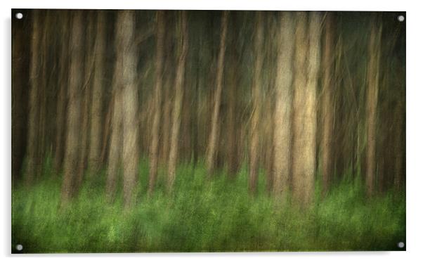 Sandringham Woods, Norfolk Acrylic by Dave Turner