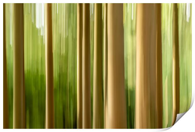 Intentional camera movement tree trunks Print by Marg Farmer