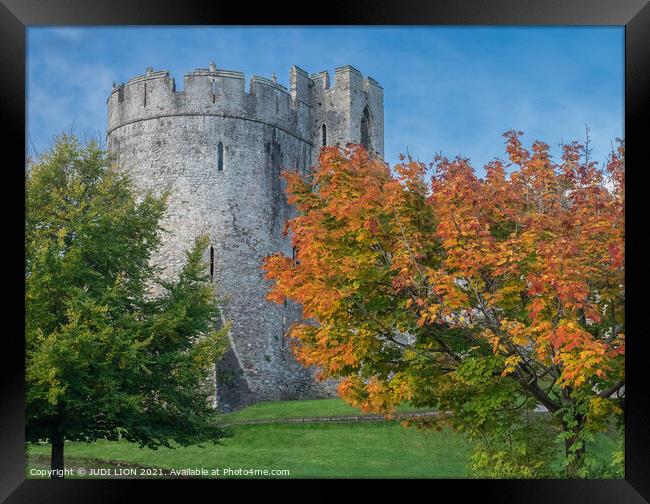 Chepstow Castle in Autumn Framed Print by JUDI LION
