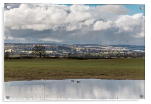 Over to Barningham in Early Spring Acrylic by Richard Laidler