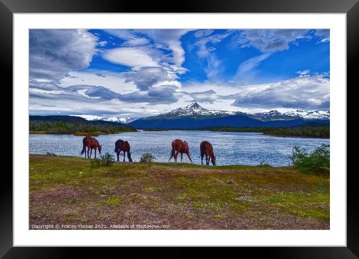 'Refreshing Drink' - Horses in Patagonia, Chile Framed Mounted Print by Tracey Turner