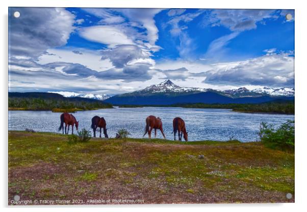 'Refreshing Drink' - Horses in Patagonia, Chile Acrylic by Tracey Turner