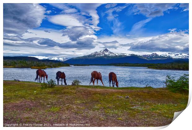 'Refreshing Drink' - Horses in Patagonia, Chile Print by Tracey Turner